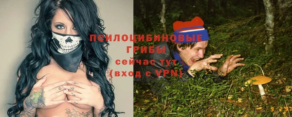 не бодяженный Корсаков